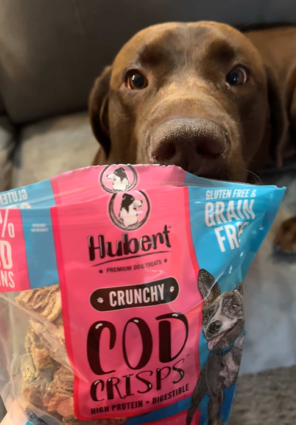 new treat unlocked: cod skins 👀 watch to see whether moose approves 😉😋