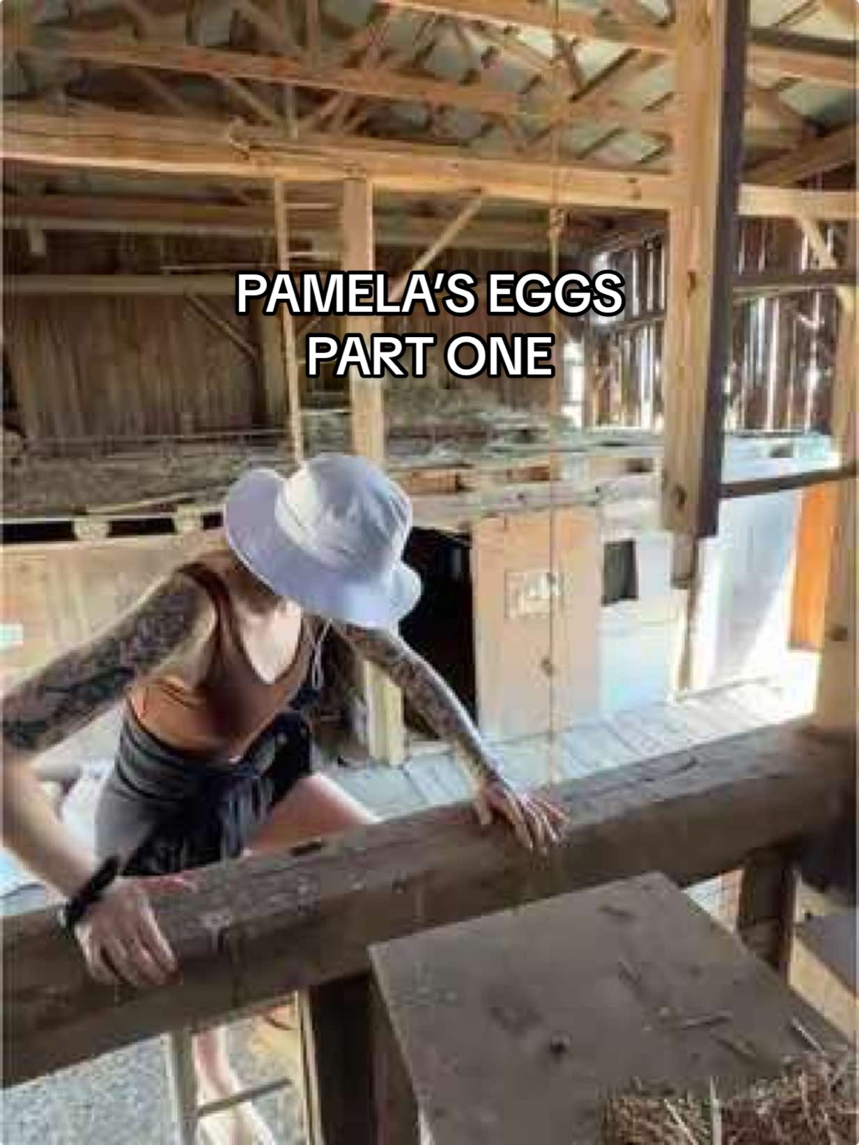 should we crack em open for part two? 👀 