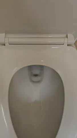 Quiet flush  #toilet #toiletclean #toiletflusher #toiletflushing #toiletflushingasmr #toiletflush #asm #satisfying #satisfyingvideo  #asmrsounds #flush #satisfy #asmrsounds 
