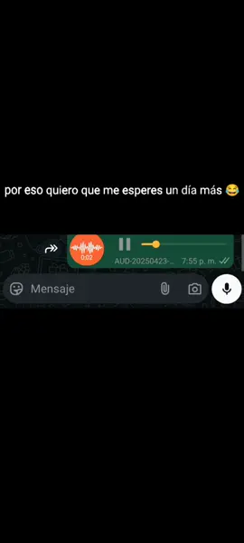audios Randon de WhatsApp 😂