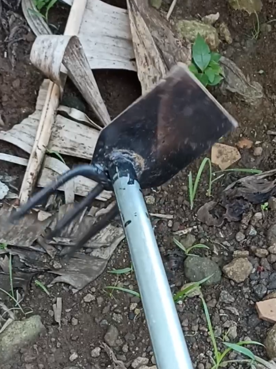 #cangkul #cangkulgaruk #cangkul2in1 #alatberkebun #perkakaskebun #garuksampah #cangkulmini 