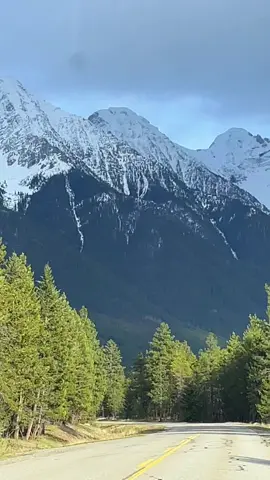 🏔️🌲🚘😌 #spring #mountain #views #drive in the #spring #nature #Outdoors #neverstopexploring 