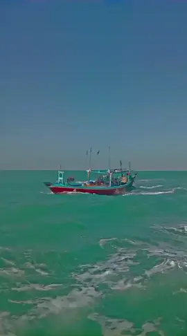 mashallah ❤️al nizam Ali🤩