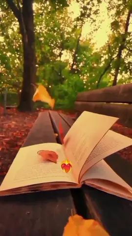 #dúo con @Bohemia y poesía ♥️ 