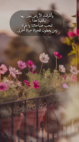 #صباحكم_أحلى_صباح🌹🌹 