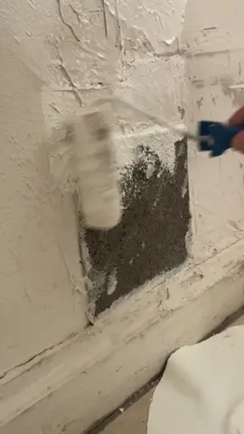 Landlord special or nah? Using a shingle to cover a hole is perfection… 