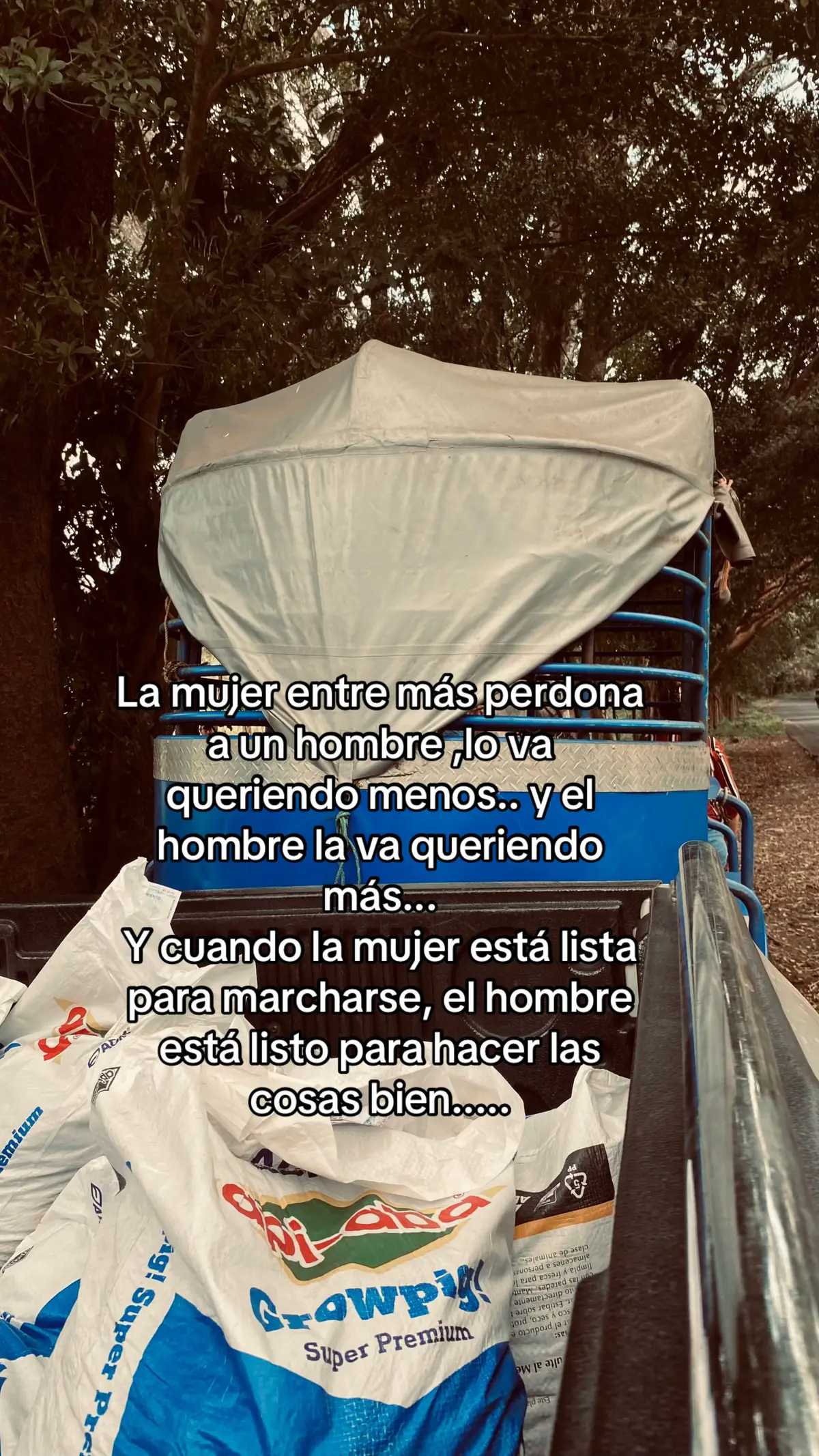 #ftypシ #viralvideos #tiktokviral #fty 