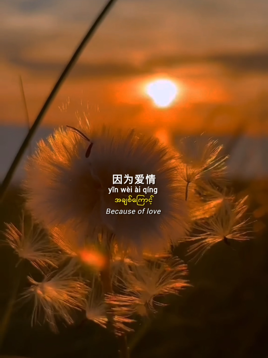 因为爱情 #chinesesong #pinyin #songlyrics #song #music #tiktok #fyp 