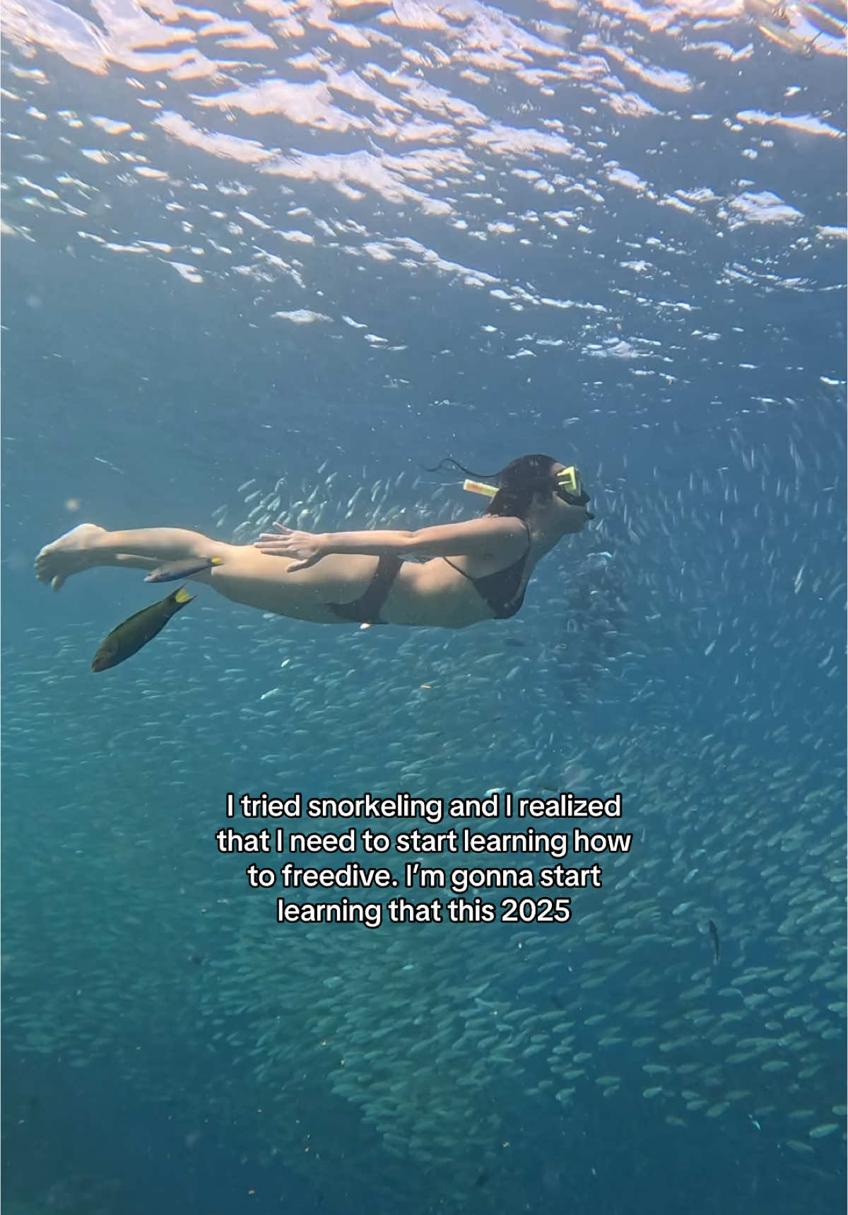 I tried snorkeling and I realized that I need to start learning how to freedive. I’m gonna start learning that this 2025. The ocean is a really beautiful place to discover, I made an oath to myself that I’ll start freediving this year! #trending #philippines #fyp #fyppppppppppppppppppppppp #traveltiktok #travel #fy #diving #ocean #freediving 