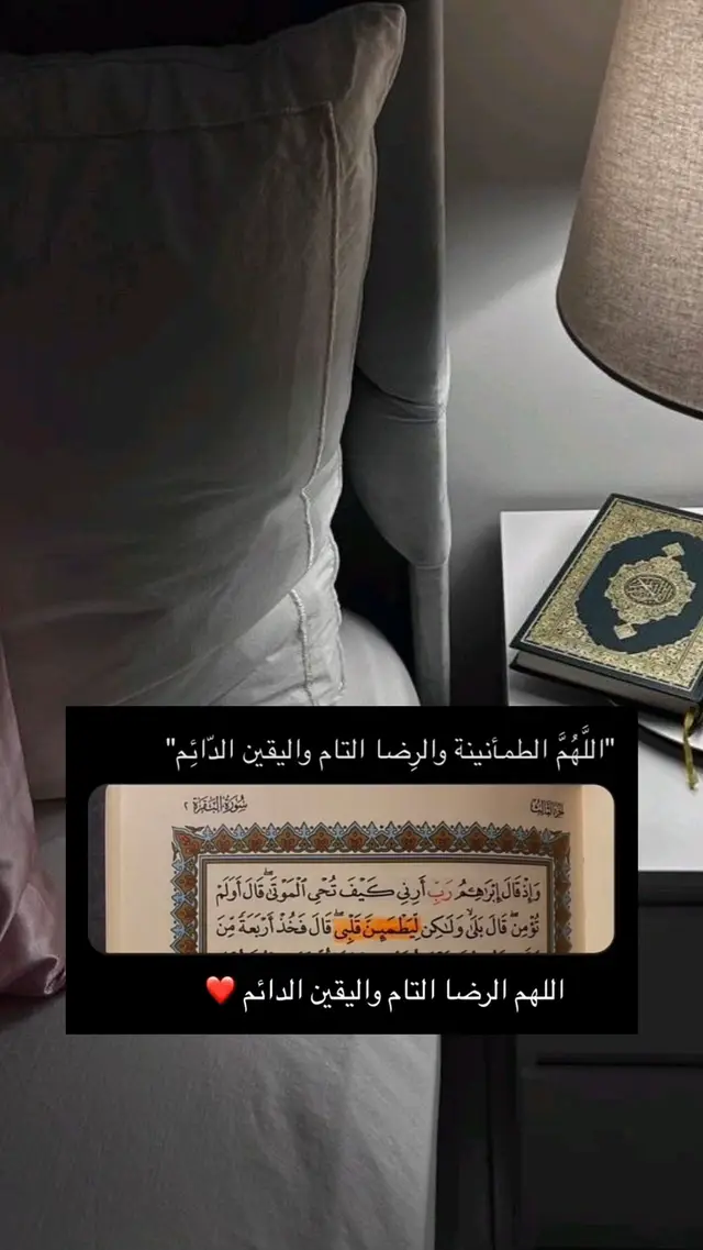 #راحة_نفسيه #ماهرالمعيقلي #قران_كريم #explore #8uranh #ياسر_الدوسري #اكسبلورexplore #الفجر #quran #الرياض #اجر_لي_ولك #استغفرالله #