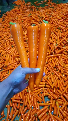Menu hari ini bolo ndang di gas masih bersama BMN fresh carrot🥕🥕#pasuruan #pasuruanjawatimur #indonesia🇮🇩 #freshcarrot #fresh #wortelfreshcarrot #sayurfresh #sukses #anakmudasukses #anakmuda #petaniindonesia🇮🇩🇮🇩🇮🇩🌿🌿 #petanimuda #fyp #fypage #fyppppppppppppppppppppppp #fypシ゚ #bakulsayur #bakul #viral #viralvideo #viraltiktok #tren #trend #trending 