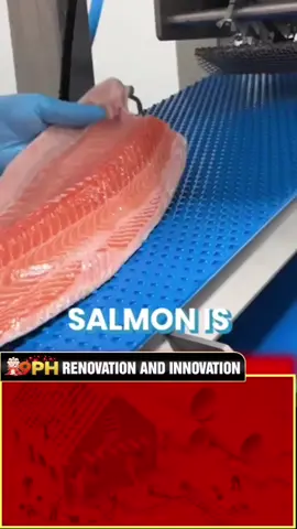 Discover how automation is revolutionizing salmon processing! 🐟⚙️ Learn about the benefits of automatic pinbone removers in the seafood industry. #FoodTech #Automation #SalmonProcessing #FYP #InnovationInFood #fyp #fypシ゚ 