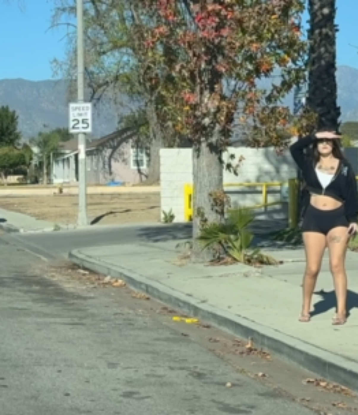 Pomona Street Tours 