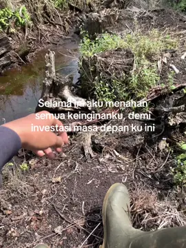 🌾