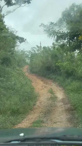 #paratiiiiiiiiiiiiiiiiiiiiiiiiiiiiiii #noemicalix #creatorsearchinsights #christiantiktok #parati #fyp #olancho #honduras #elcampo #jesus 