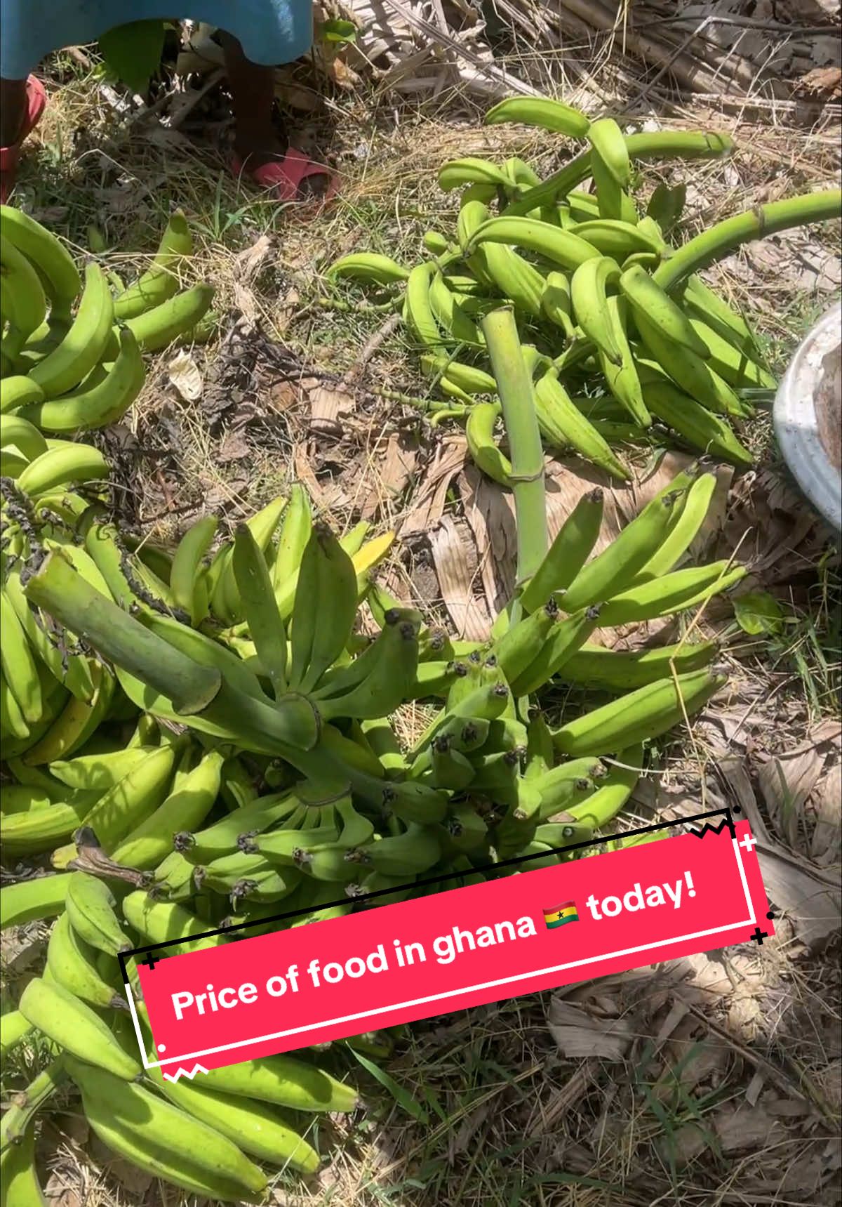 #price of #plantains and #foodstuff #today in #ghana  #aagonfarms 