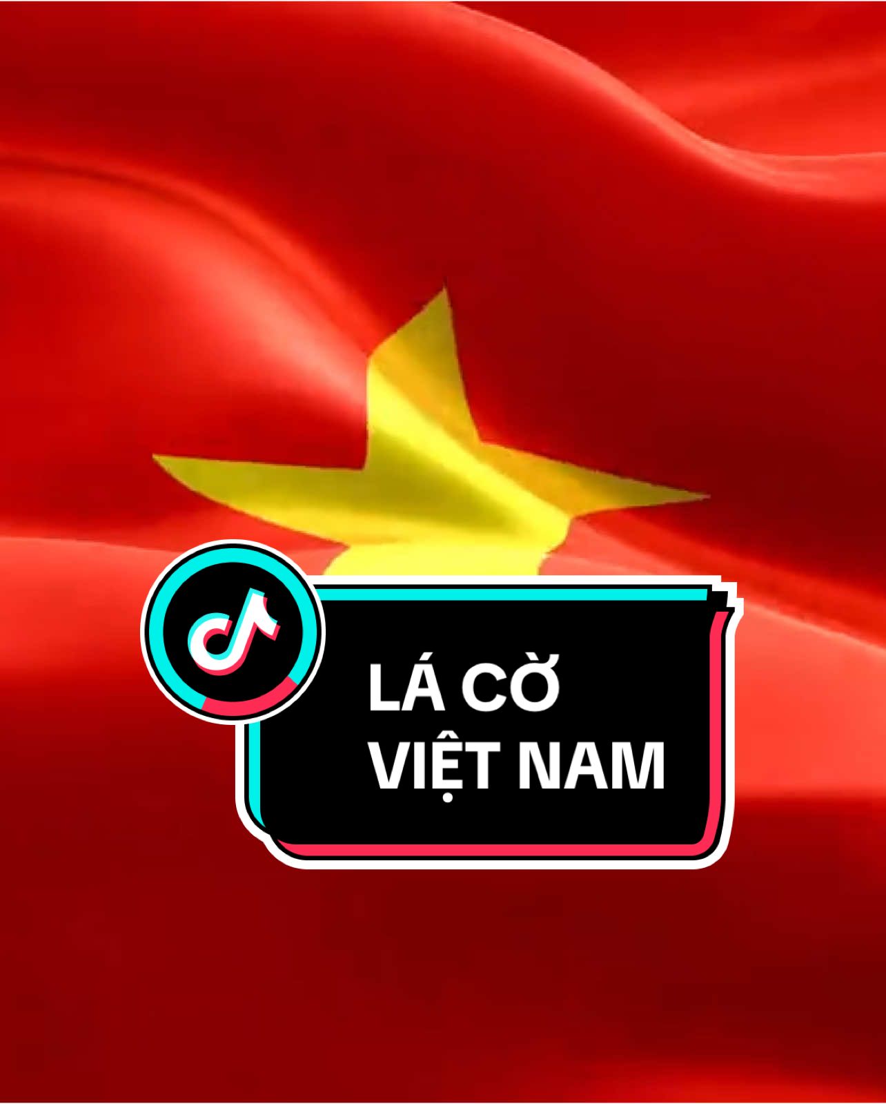 Video Lá cờ Việt Nam bay phấp phới, lá cờ Việt Nam bay, cờ Việt Nam tung bay, lá cờ bay, lá cờ đỏ bay phấp phối🇻🇳 @Cô Ba Edit 👵 @Cô Ba Xây Kênh 👵 @trolycobaedit @cobaedit3 @teamcobaedit #vietnam #vietnamtoiyeu #50namngaygiaiphongmiennam #giaiphongmiennam #toquocvietnam #dieuhanh #dieubinh #covietnam #dinhdoclap #benbachdang 