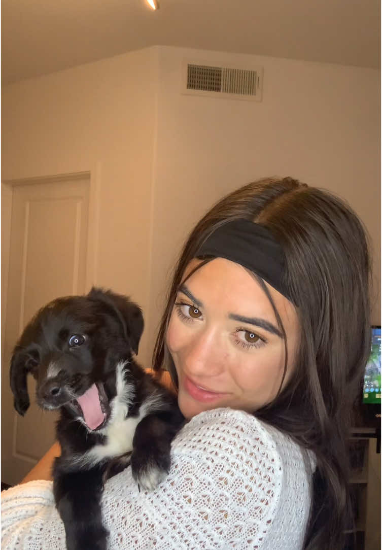 Baby puppy yawn 🥺#puppy #puppies #puppytiktok #baby #babyanimals #cute #adorable #Love #babytiktok #babylove #fyp #foryoupage 