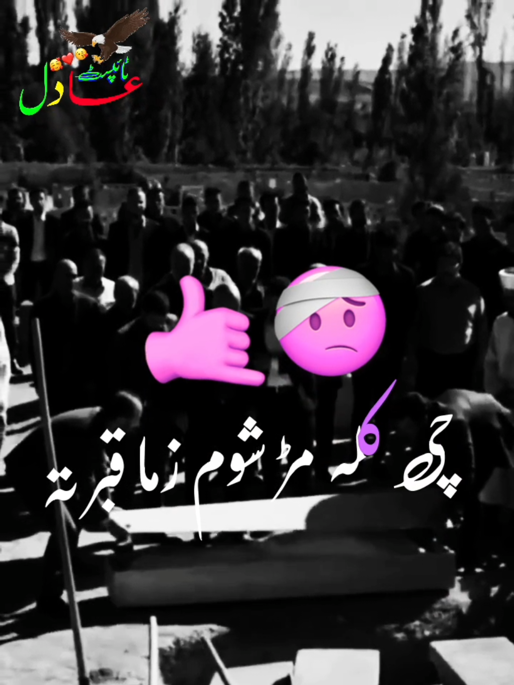 Pashto Sad Poetry status 💔 #adil_typist423 #pashto_poetry423 #غمجنی_مصری😭💔😥 #محبت #غمجن #پښتو #pashtopoetryشاعری #pashtopoetrytiktok #attitude #poetry #sad #pashtosong #pashtonewsong2025 #pashtopoetryvideos #pashtopoetrystatus #pashtobestpoetry #pashtotiktoksong #tiktokpashto #pashtoshayari #pashtopoetryforfriends @TikTok @Adil Yousaf Zai @TiktokPakistanOfficial @🔥Adil Typist🔥 @Waliullah Sahibzada 