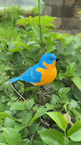 The kid's dad brought him a blue bird toy that can chirp and sing. The kid loves it 😍 