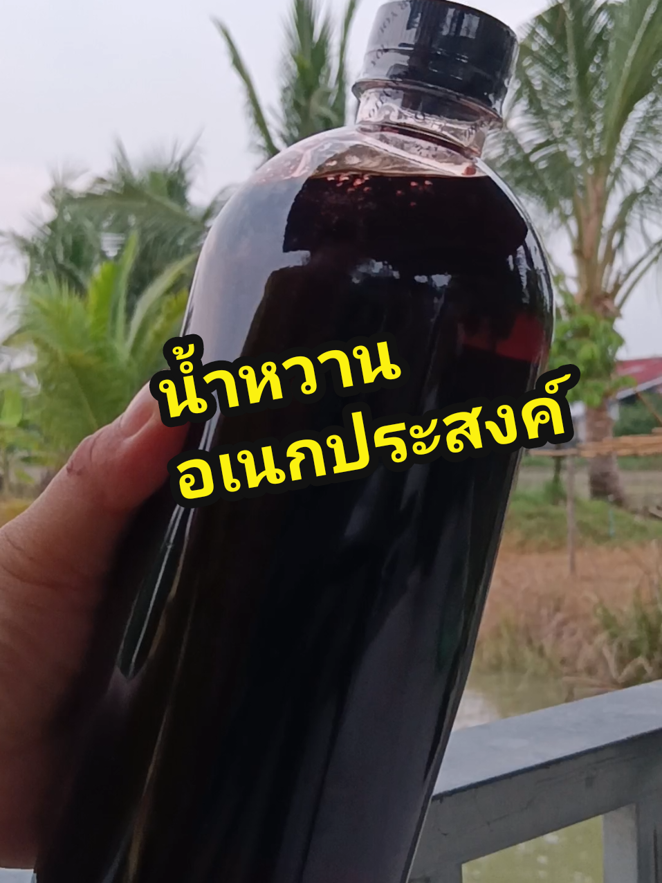 #ไซรัปหวาน #น้ำหวานอเนกประสงค์ #น้ำเชื่อม #ไซรัปหญ้าหวาน #สินค้าขายดี  #ฟีดดดシ #fyppppppppppppppppppppppp #เปิดการมองเห็น 