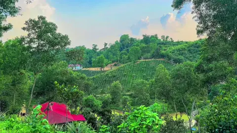 আমি চাঁদ দেখেছি, দেখেছি হাজারো তারা, কিন্তু আমার নজরে তুমিই সেরা!❤️‍🩹🫶🏻 #foryou #fpyシ #trand #sylhet #lexus_garden #nature #sky 