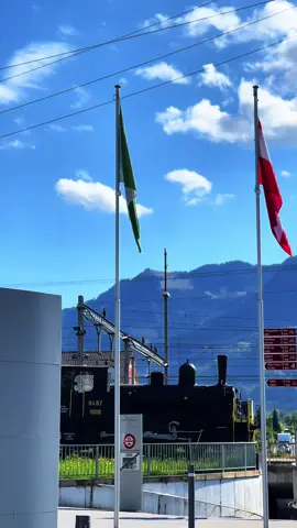 Cidii ku xumaysay cafi  lakin xumantii lagu samayey ha noqoto cashar ciwaankii oo kle si aan mardanbe kugu dhicin tanoo kle#videoviral #soamlitiktok #foryoupage #swisserland🇨🇭🇨🇭🇨🇭🇨🇭 