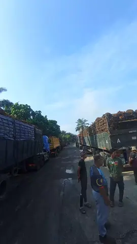 ada buat kenduri sikit🤟🤟#fypシ #foryoupagе #gengbesitajam #drebalori #kulisawit #fighterjalanan #sawit 