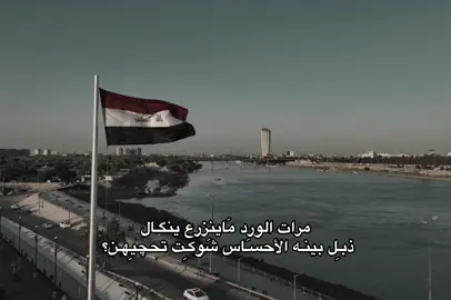 #علي_رشم #شعر_شعبي_عراقي #fppppppppppppppppppp #fyp #احساس #العراق #قصيده 