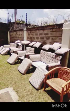 carpet and sofa cleaning #CleanTok