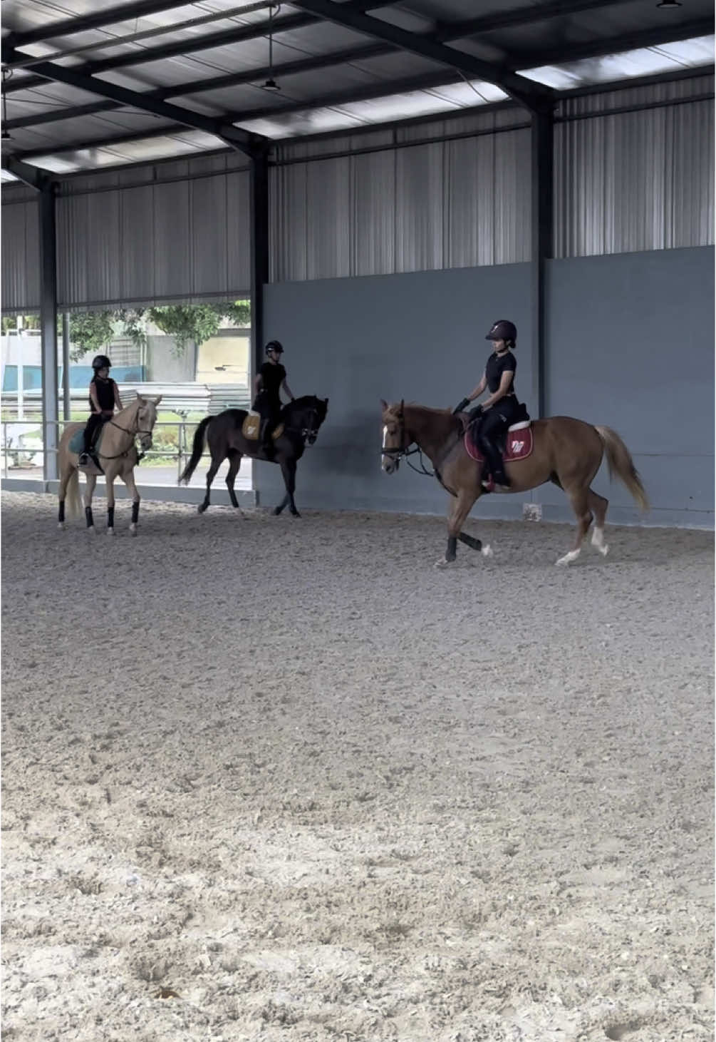 mysupernova🤍  #fyp #equestrian  