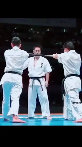 #martialarts #karate #kyokushin #technique #skills #master #lee25dragon #foryoupage #tiktoklongs #tiktokusa #fyp 