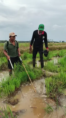hampir saja kena 😰😰 #hiburan #komedi #fyp #viral