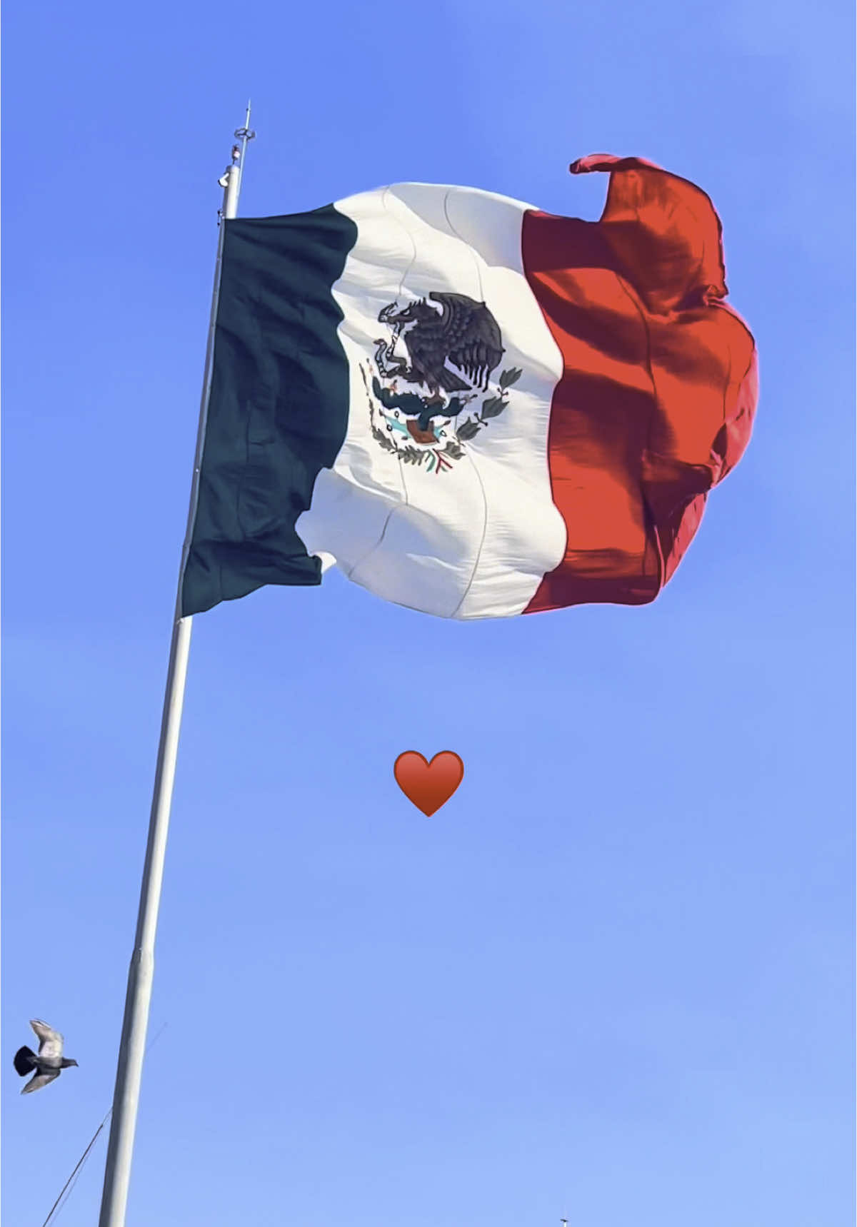 #mexico🇲🇽 #banderamexicana #🇲🇽 