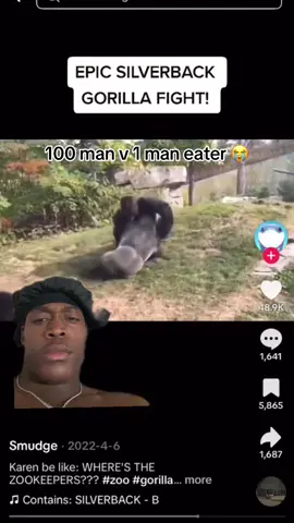 #greenscreenvideo #greenscreen no a 100 man v 1 gorilla is not goin man way #fyp #trending 