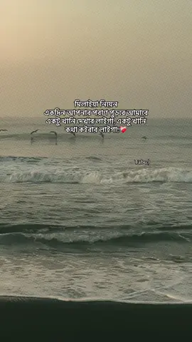 মিলাইয়া নিয়েন একদিন আপনার পরাণ পুড়বে আমারে একটু খানি দেখার লাইগা, একটু খানি  কথা কইবার লাইগা!!❤️‍🩹#foryoupage #virał #fyppppppppppppppppppppppp @TikTok @TikTok Trends @TikTok Bangladesh 