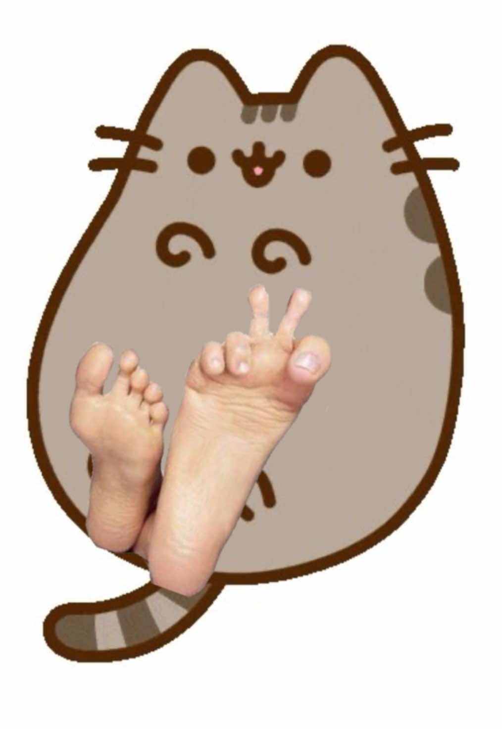 привет пушинки #lovepusheen💗💗💗🐱🐱 #pusheen #пушин #пушинмоядевочка  