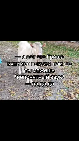 #рек #старыемемы #рек #старыемемы 