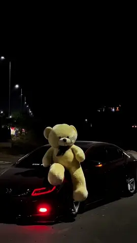 Han Haseen Ban Gaye🧸🍷❤️‍🩹#chhabibmayo #carlovers #foryou 