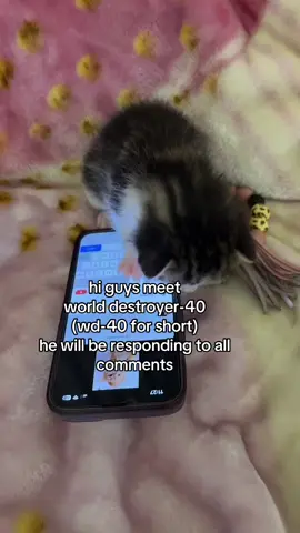 he’s my manager guys 🙄 #cat #trending #catsoftiktok #replyingtocomments #meme #viral 