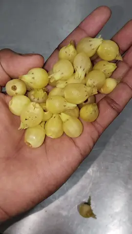 #foryou #tharuculture #tharusong #foryourpage 