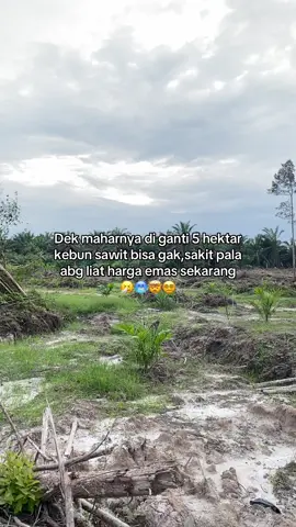 😵‍💫#fyp #viral #sawitontiktok #sawitriau #petanisawitindonesia🇮🇩  #petanimuda #bossawit #petanimilenial #foryou 