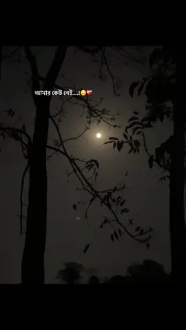 আমি মৃত মানুষ ? 🙂❤️‍🩹 #creatorsearchinsights #sabbir_official_75 #unfrezzmyaccount #grow #fyp #foryou #viral #100k #views 