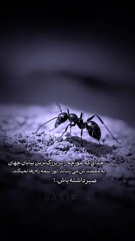 صبر داشته باش🙃✋🏻 #fy #foryou #viralvideo #islam #allah #nmaz #muslim #صبر 