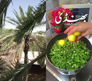 #duet with @kitchenwithsidra8 #kitchenwithsidra 