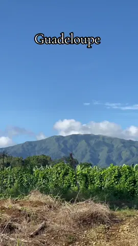 sur les hauteurs de la rivière matéliane #guadeloupe #971 #randonnée #caraibes #antilles #caribbean #paysagemagnifiques #cascade #waterfall #montagne #riviere #volcan #island #caraibes 