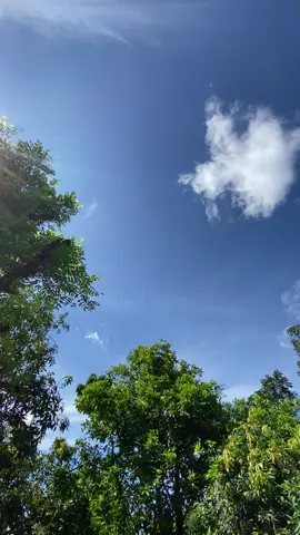 Langit siang hari ini indah #fyppppppppppppppppppppppp #masukberanda #gembulkecrek #fyp #bahanswmu #langit#langitaesthetic