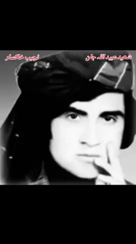 #creatorsearchinsights شھید عبید اللہ جان کندھا ری راسروار ی یاراں شایستہ غزل 🇦🇫💯