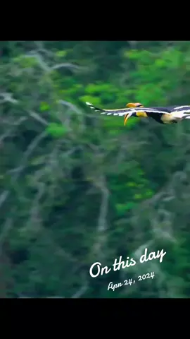 #onthisday