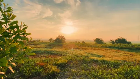 #CapCut Reality sunrise today beautiful . #radiopresent #reality #sunrise #today #fyp 